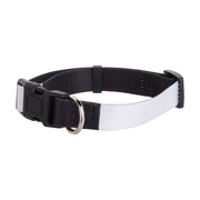 Collar Para Perro Talla Mediana (56cmx2.5mm)