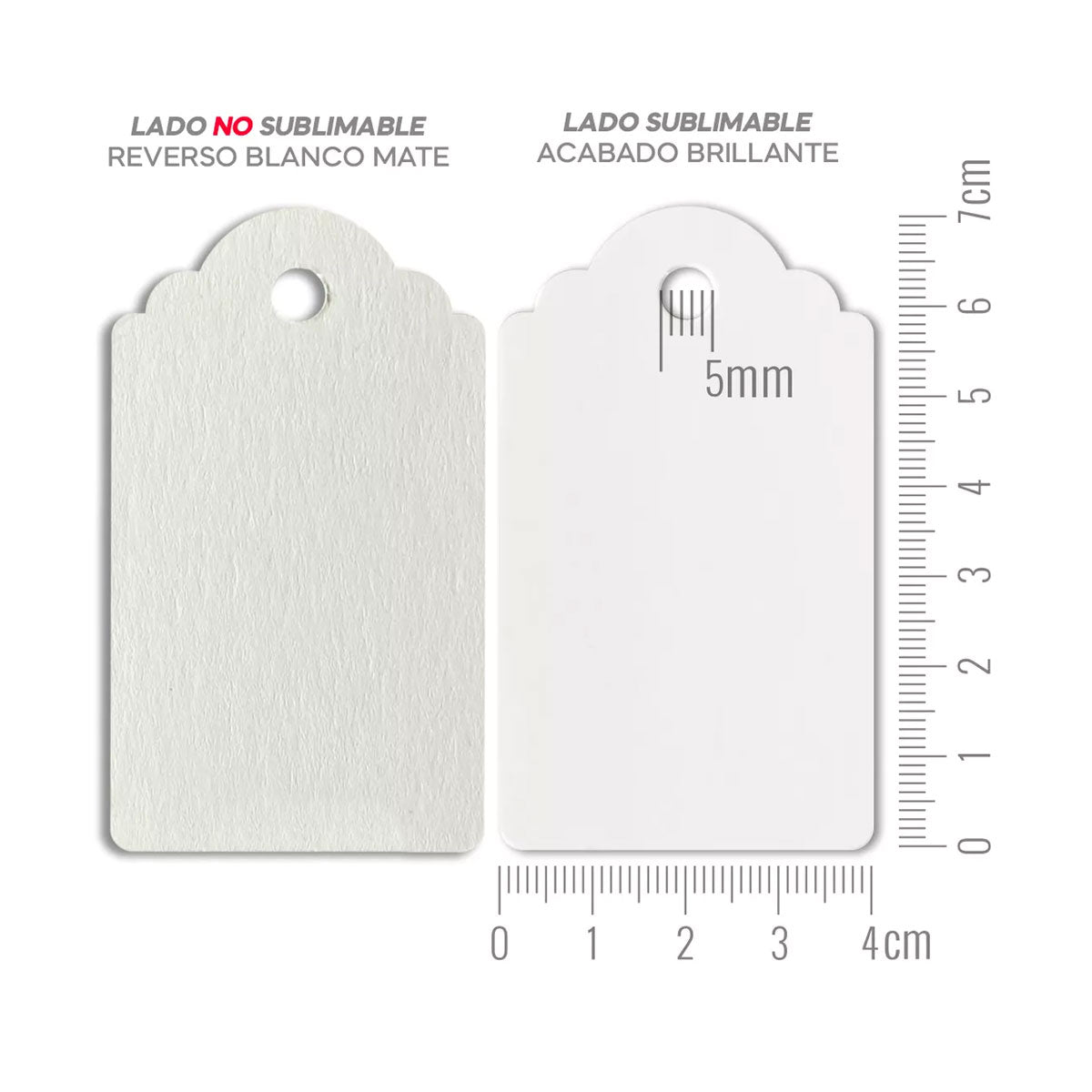 Etiquetas de Precio Pack de 10 Unidades